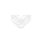 Lace Brief Panty